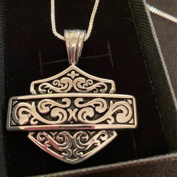 Silver HD Pendant Necklace - Picture 5 of 13